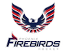 Phoenix Firebirds 18U AAA