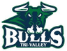 Tri-Valley Bulls 14U AA