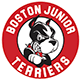 Boston Jr. Terriers