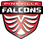 Pineville Falcons 16U AA