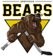 Sheffield Bears D