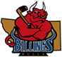 Billings Bulls