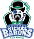 Sudbury Nickel Barons