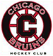 Chicago Bruins 15U AA