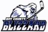 Bay County Blizzard