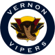 Vernon Rockets