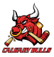 Calgary Bulls U17 AAA