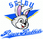 Seibu Prince Rabbits