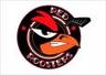 Charleroi Red Roosters