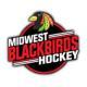 Midwest Blackbirds 16U AA