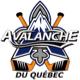 Québec Avalanche