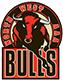North West Bulls U18 AAA