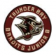 Thunder Bay Bandits