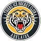 Adelaide Tigers