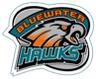 Bluewater Hawks