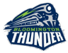 Bloomington Thunder 16U AA