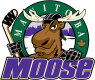 Manitoba Moose