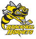 Bracknell Hornets