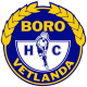 Boro/Vetlanda HC J18