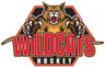 California Wildcats 15U American