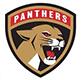 Hockey Central Panthers 15AA