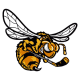 Alvinston Killer Bees