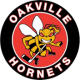 Oakville Ice