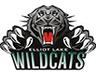 Elliot Lake Bobcats Midget B