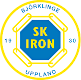 SK Iron J20