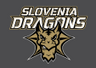 Slovenia Dragons U14