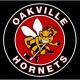 Oakville Hornets U18 AA (W)